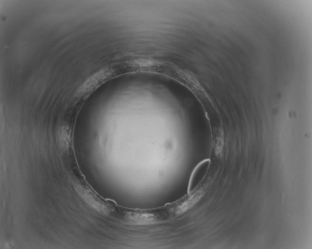 X0000085250476200703091302