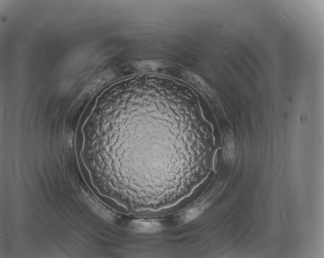 X0000085250477200703091303