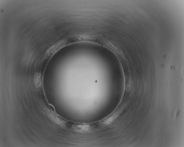 X0000085250478200703091303