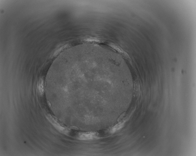 X0000085250479200703091303