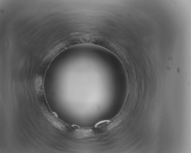 X0000085250480200703091303