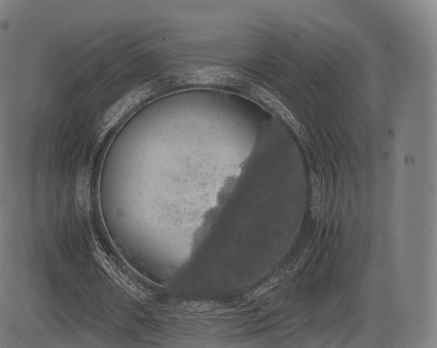 X0000085250482200703091302