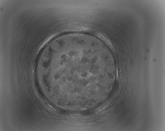 X0000085250483200703091302