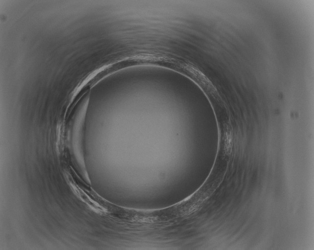 X0000085250484200703091302