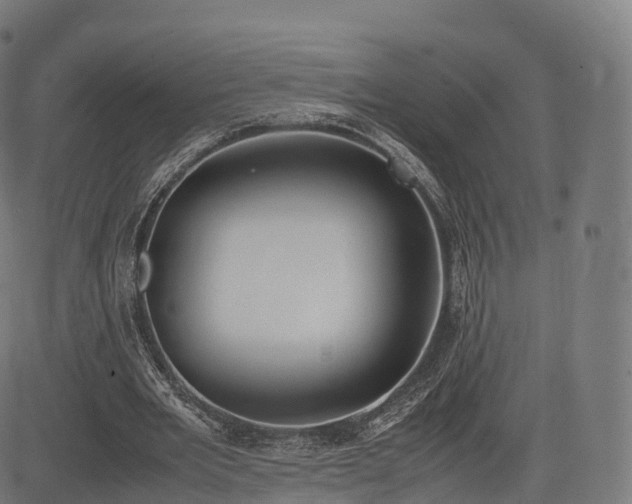 X0000085250485200703091302