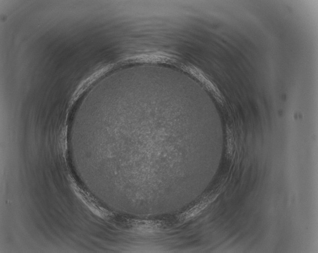 X0000085250486200703091302