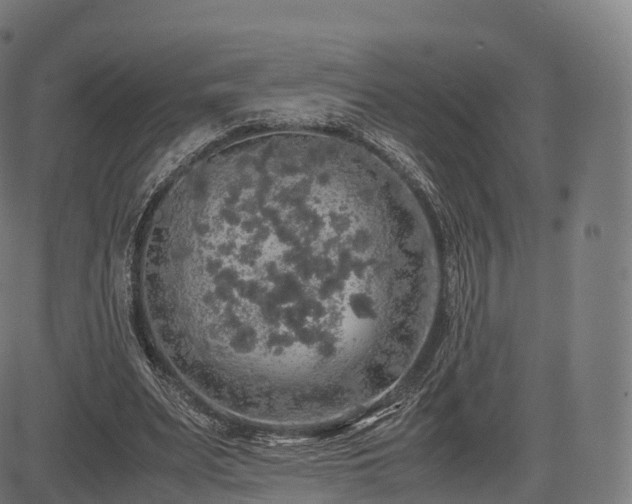 X0000085250487200703091302