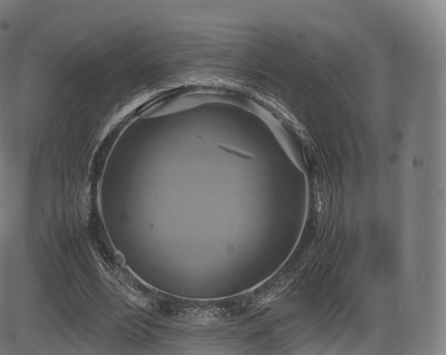 X0000085250488200703091302