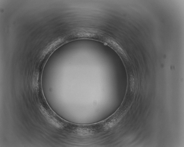 X0000085250490200703091302