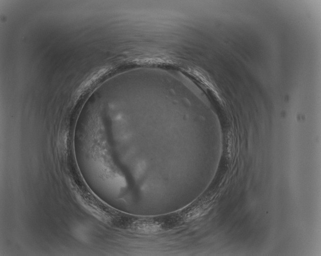 X0000085250491200703091302