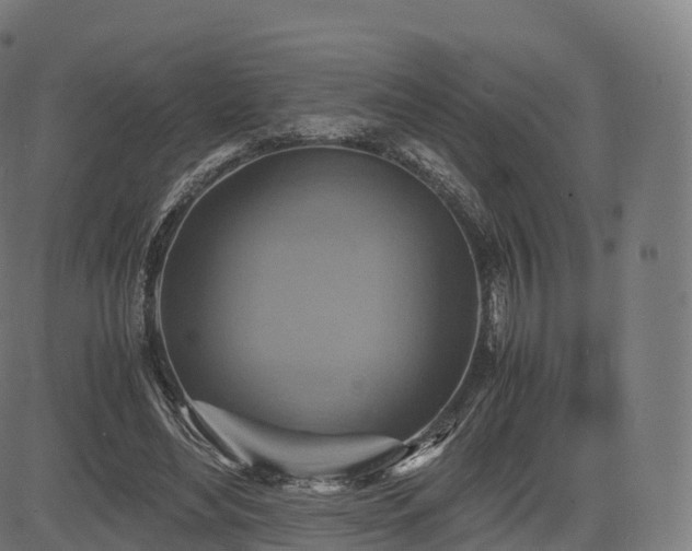 X0000085250492200703091302