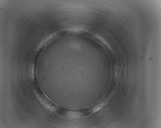 X0000085250494200703091302