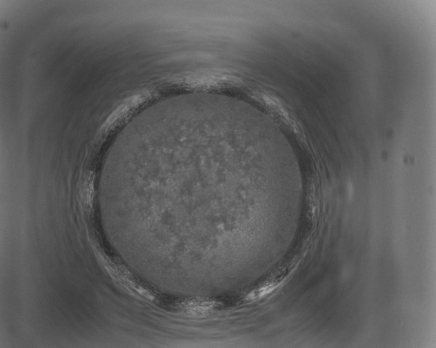 X0000085250495200703091302