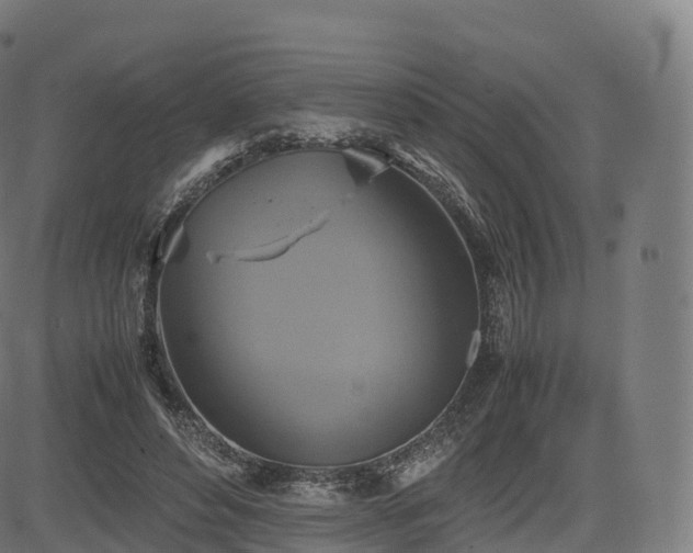 X0000085250496200703091301