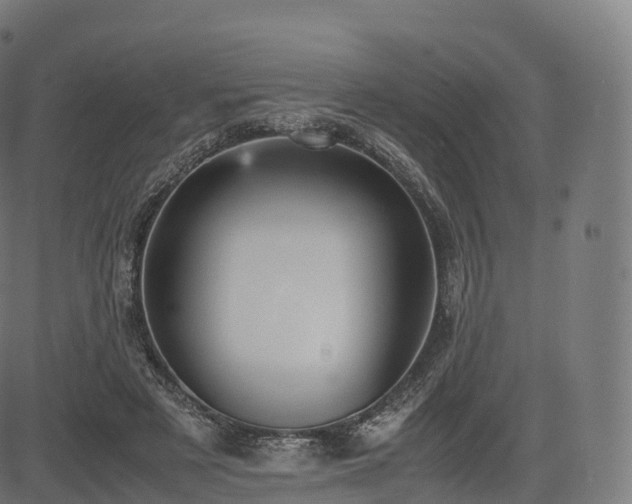 X0000085250497200703091301