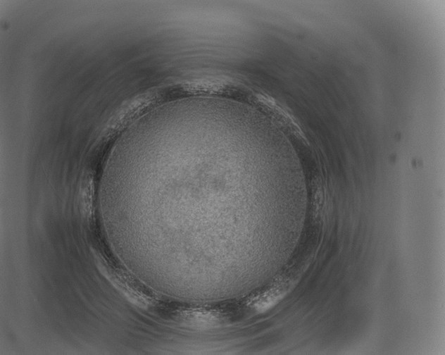 X0000085250498200703091301