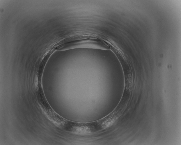 X0000085250500200703091301