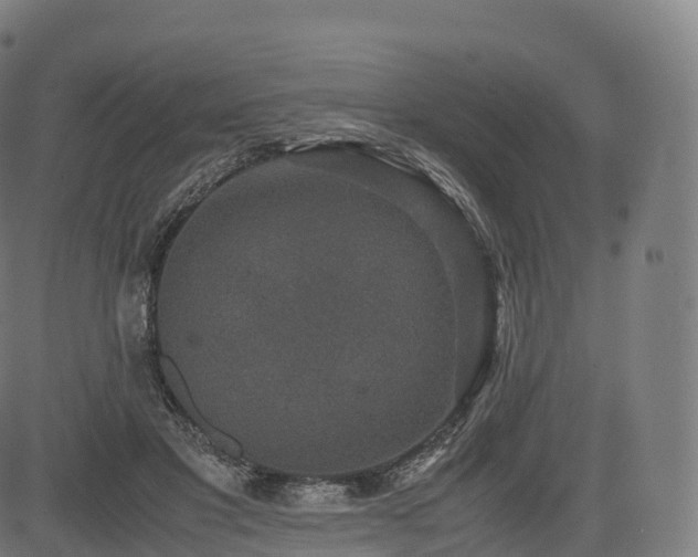 X0000085250501200703091301