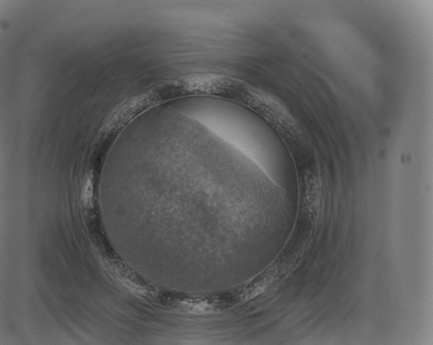 X0000085250502200703091301