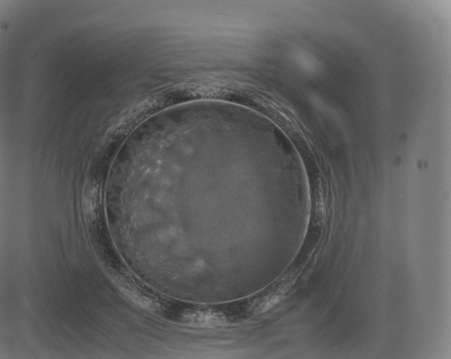 X0000085250503200703091301