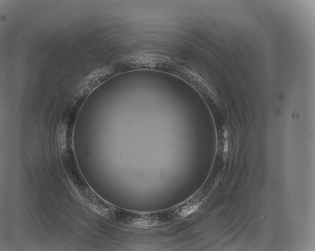 X0000085250504200703091301