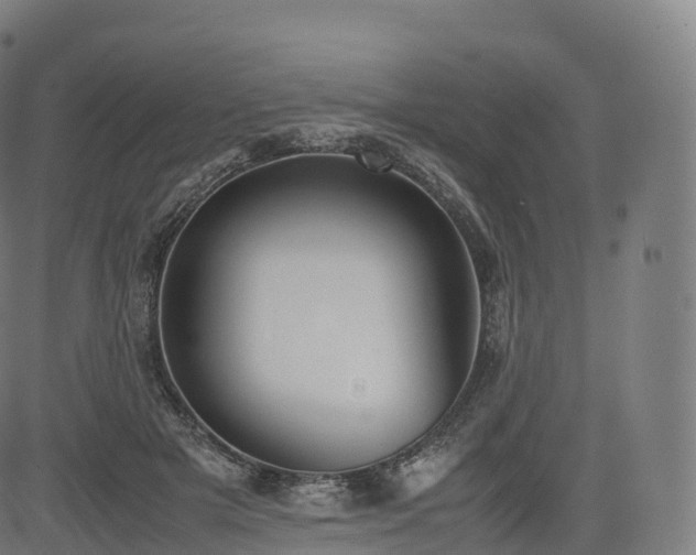 X0000085250505200703091301