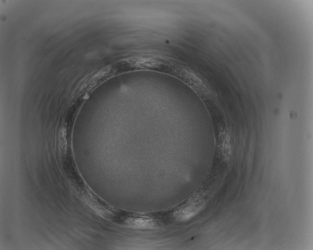 X0000085250506200703091301