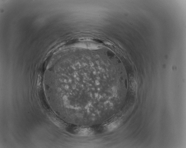 X0000085250507200703091301