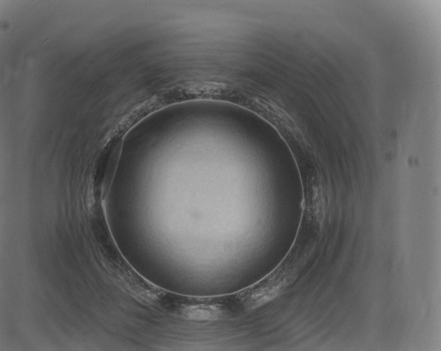 X0000085250508200703091301