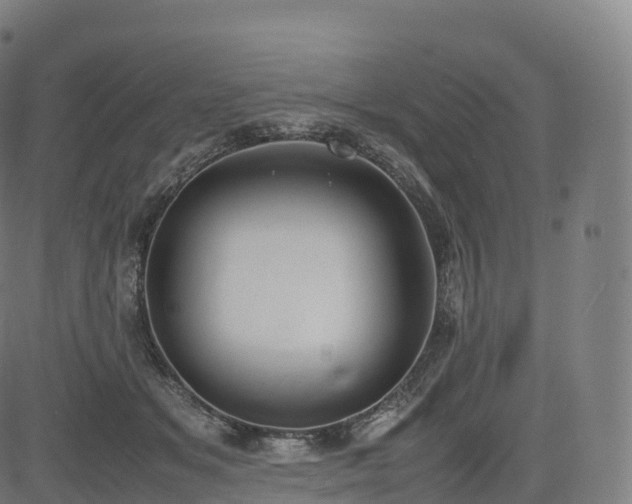 X0000085250509200703091301