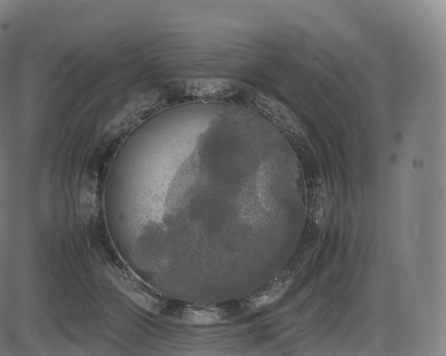 X0000085250510200703091301