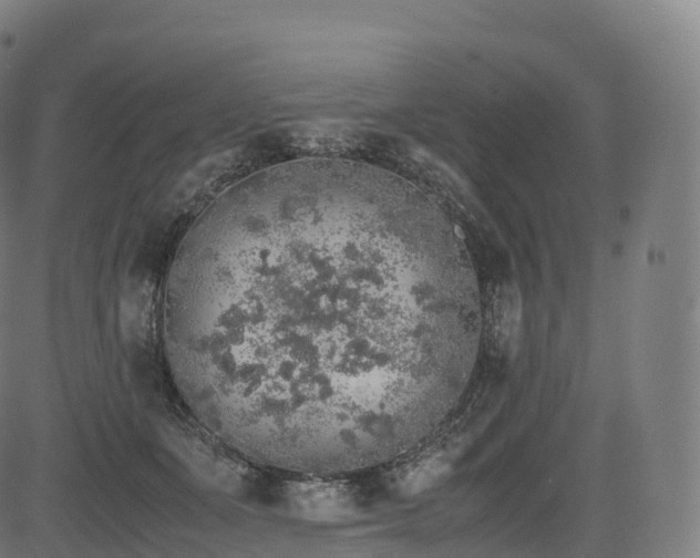 X0000085250511200703091301