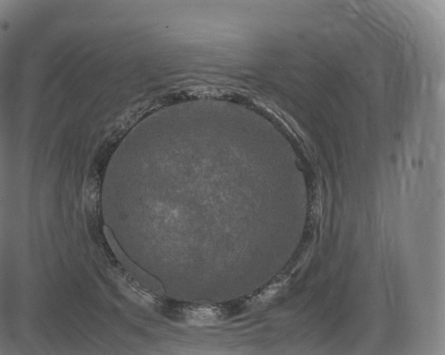 X0000085250513200703091301