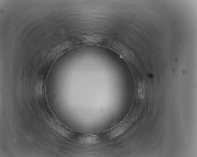 X0000085250514200703091301