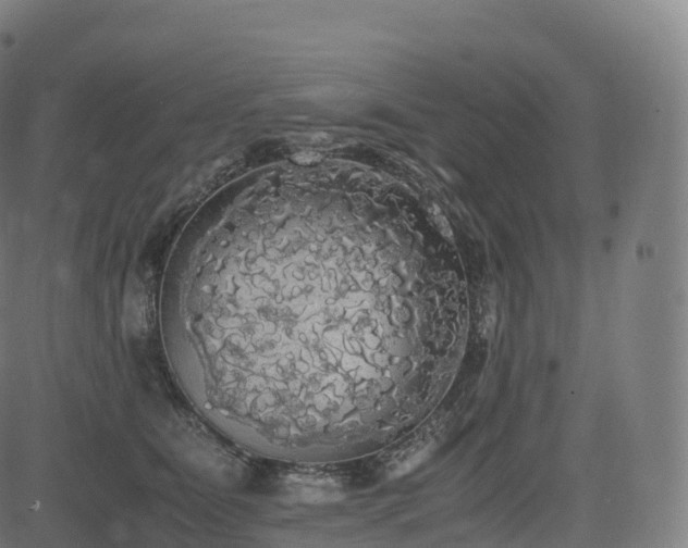 X0000085250515200703091301