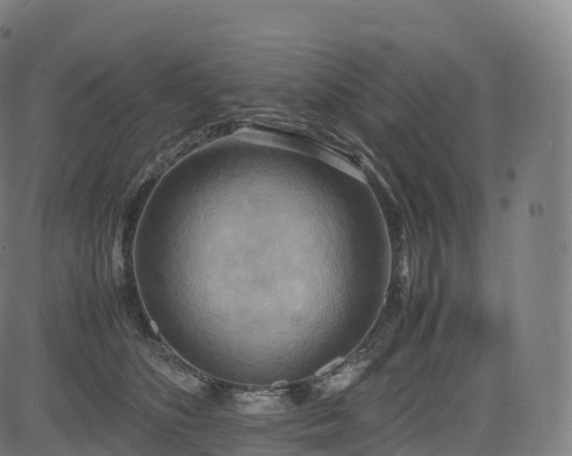 X0000085250516200703091301