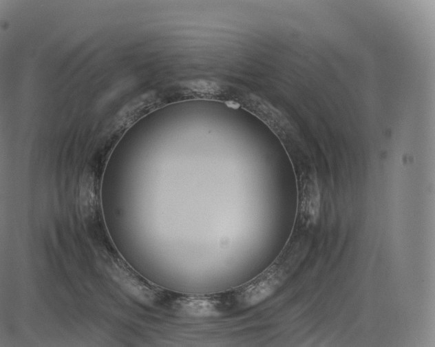 X0000085250518200703091301