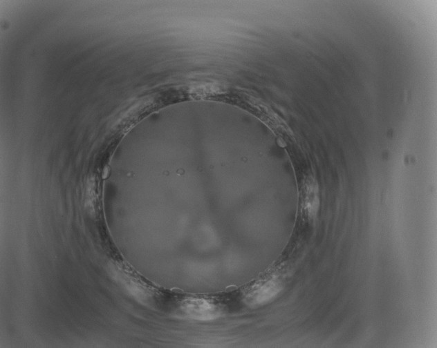 X0000085250519200703091301