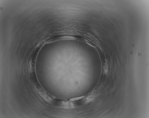 X0000085250520200703091301