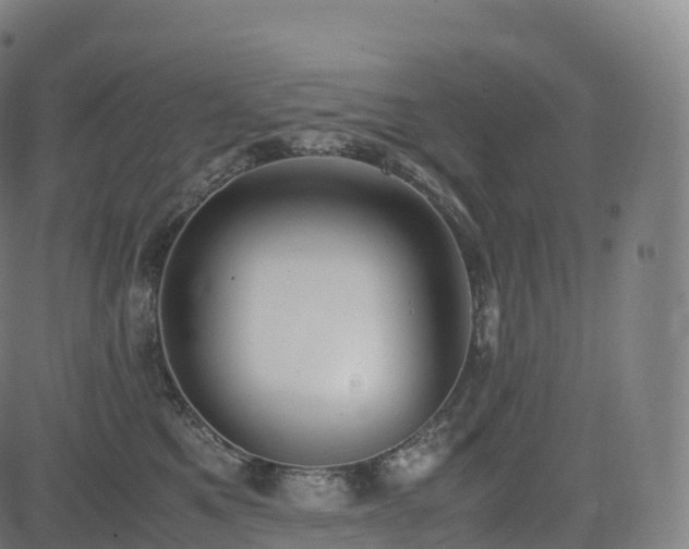 X0000085250521200703091301