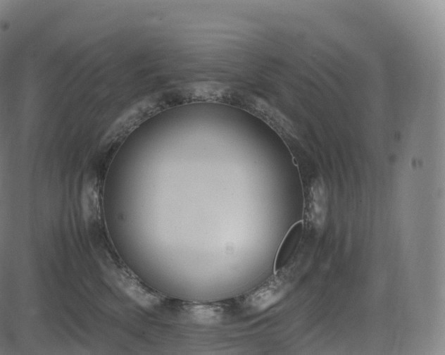 X0000085250522200703091301