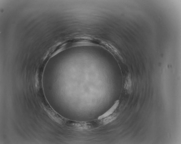 X0000085250524200703091301