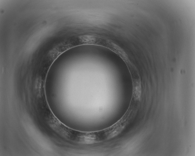 X0000085250525200703091301