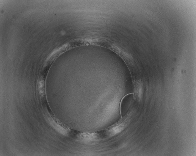 X0000085250526200703091301