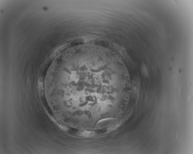 X0000085250527200703091301