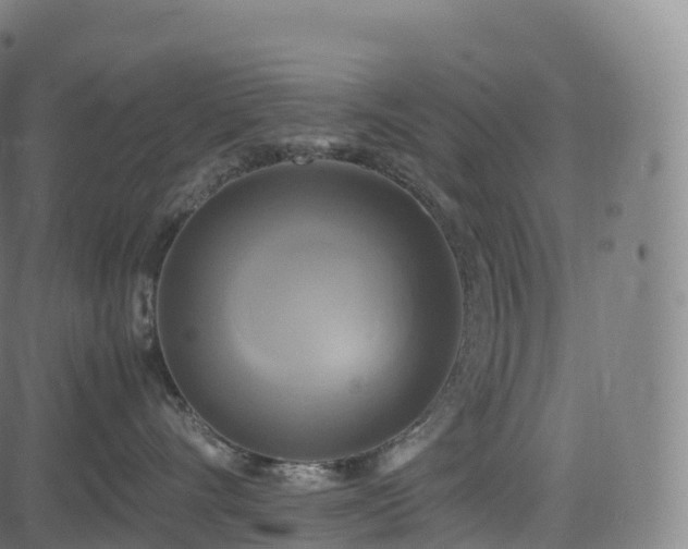 X0000085250528200703091301