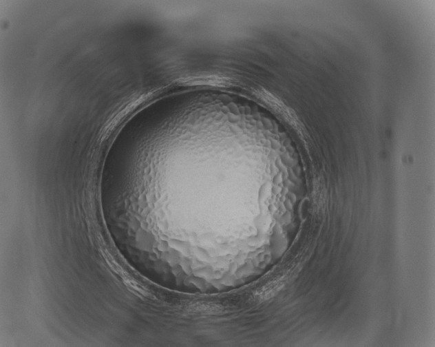 X0000085250529200703091300