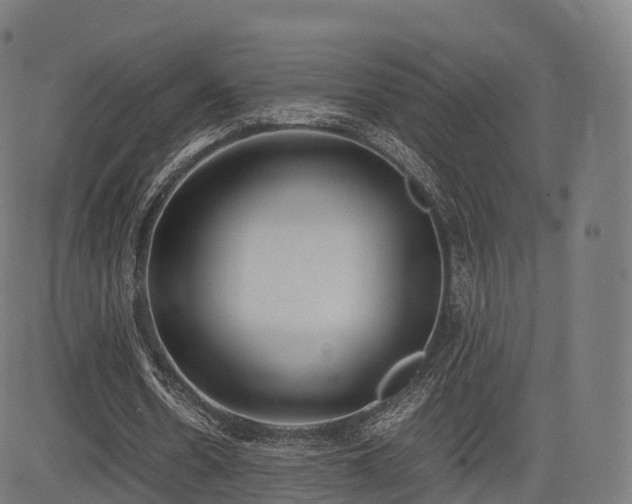 X0000085250530200703091300