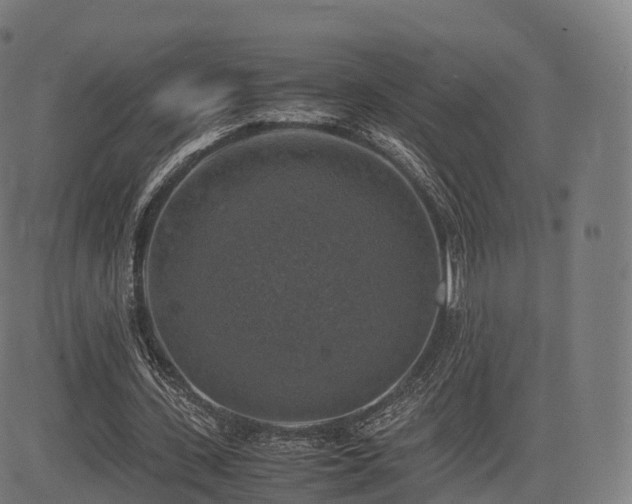 X0000085250531200703091300