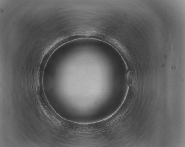 X0000085250532200703091300